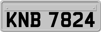 KNB7824