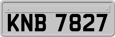 KNB7827