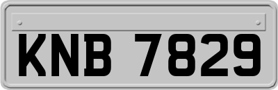 KNB7829