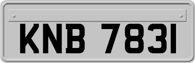 KNB7831