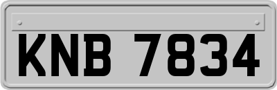 KNB7834