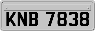 KNB7838