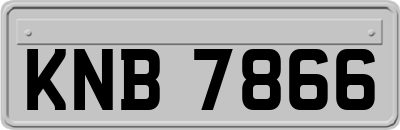 KNB7866