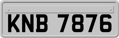 KNB7876