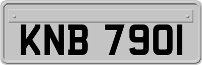 KNB7901