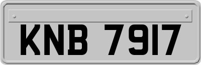 KNB7917