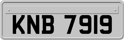 KNB7919