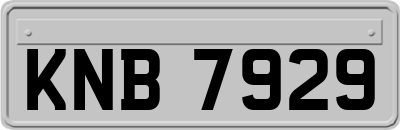 KNB7929