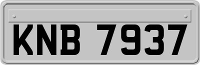 KNB7937