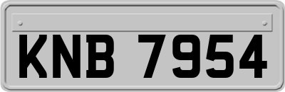 KNB7954