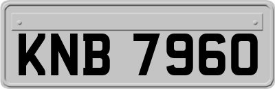 KNB7960