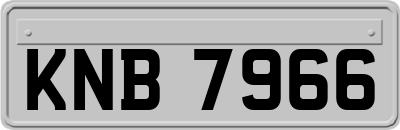 KNB7966