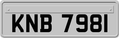 KNB7981