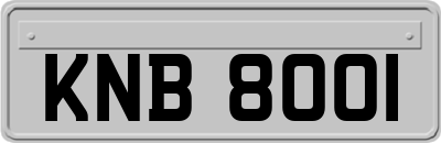 KNB8001