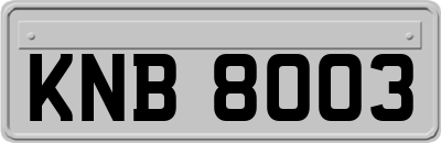 KNB8003