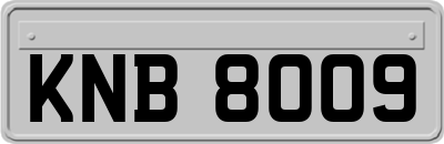 KNB8009