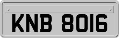 KNB8016