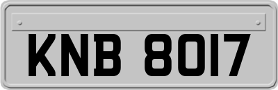 KNB8017