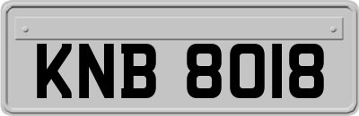 KNB8018