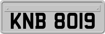 KNB8019