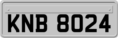 KNB8024