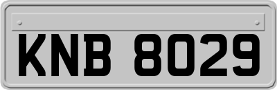 KNB8029