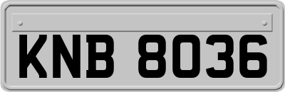 KNB8036