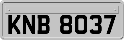 KNB8037