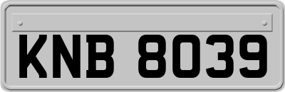 KNB8039