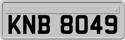 KNB8049