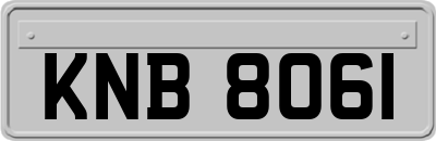 KNB8061