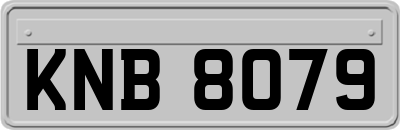 KNB8079