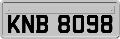 KNB8098