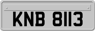 KNB8113