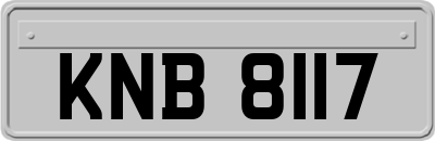 KNB8117