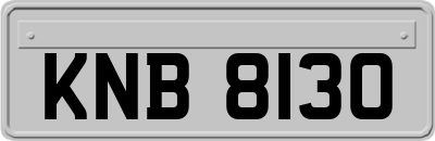 KNB8130