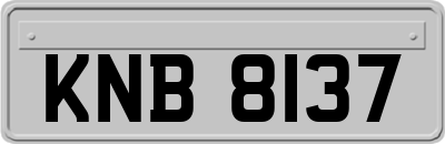 KNB8137