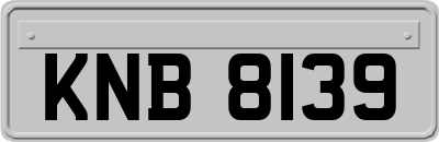 KNB8139