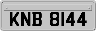 KNB8144