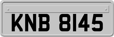 KNB8145