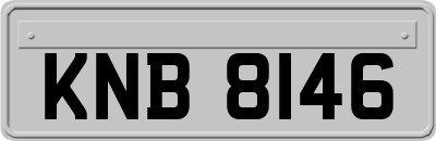 KNB8146