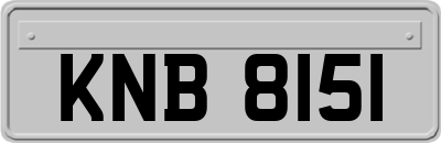 KNB8151