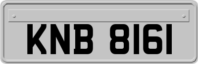 KNB8161