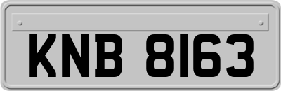 KNB8163