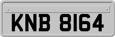 KNB8164