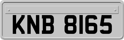 KNB8165