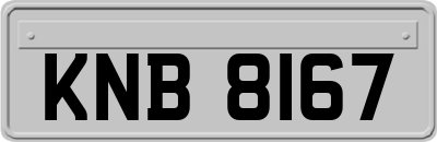 KNB8167