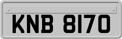 KNB8170