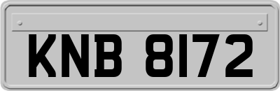 KNB8172