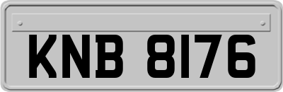 KNB8176